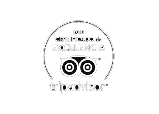 Trip Advisor